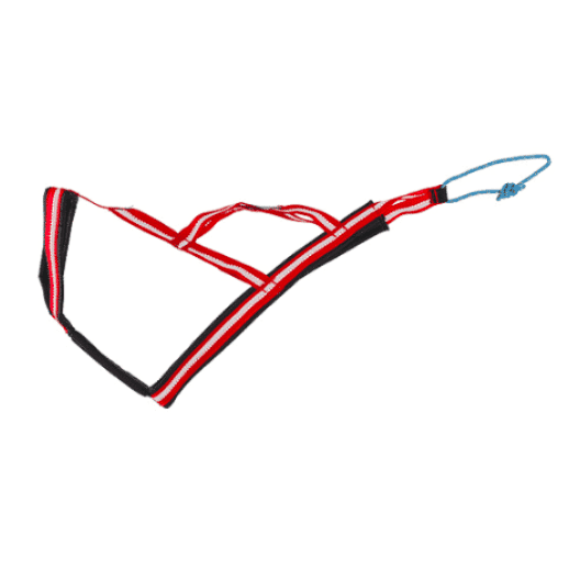 Dragråttan R-Harness