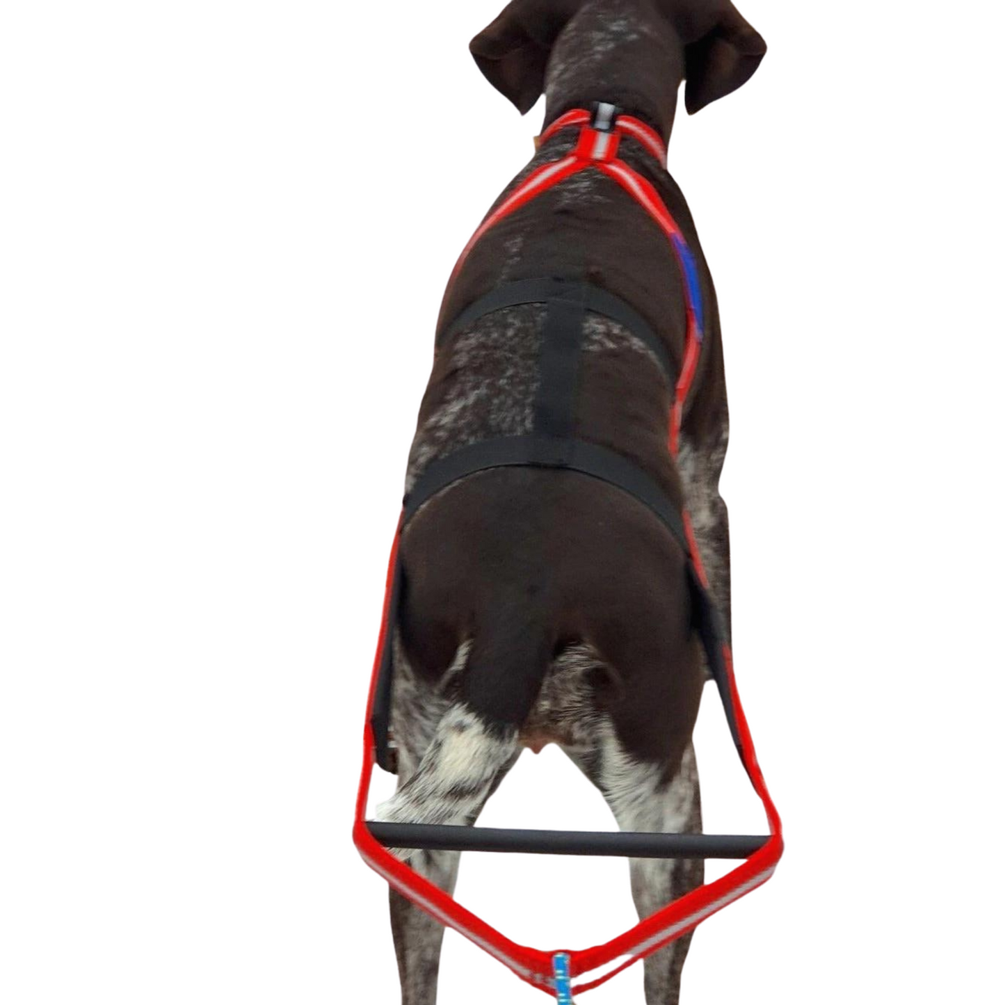 Dragråttan Stick Harness