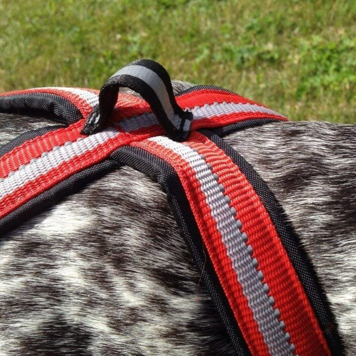 Dragråttan X-Harness