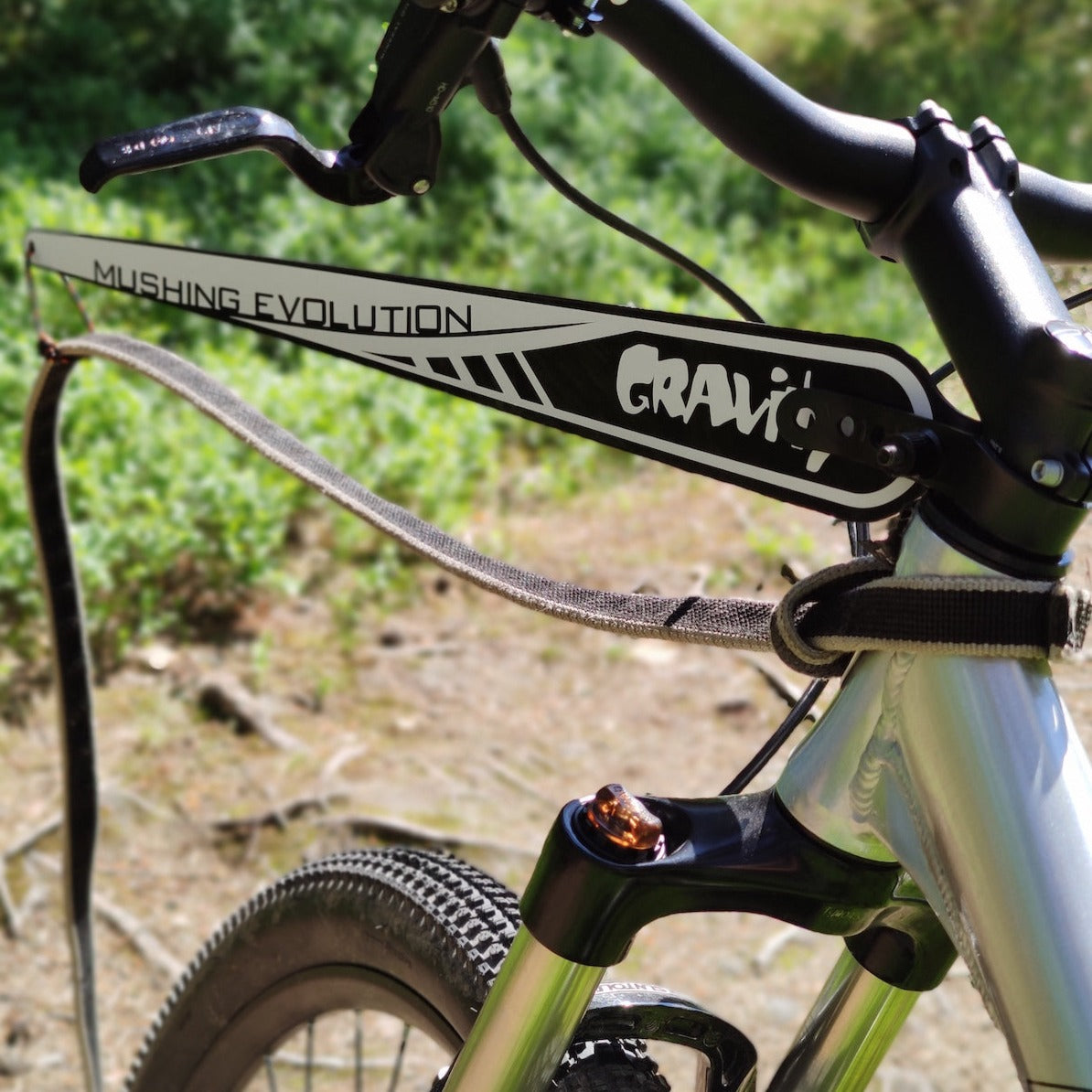 Gravity Scooters Bike Antenna