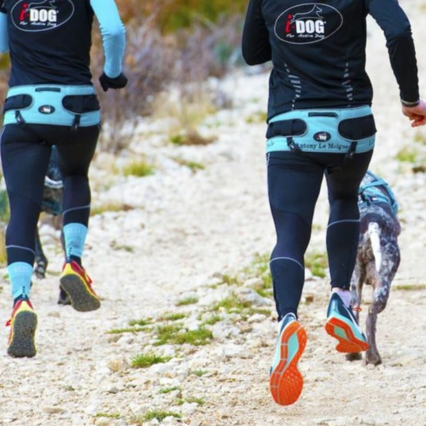 I-Dog Waist Belt Canyon