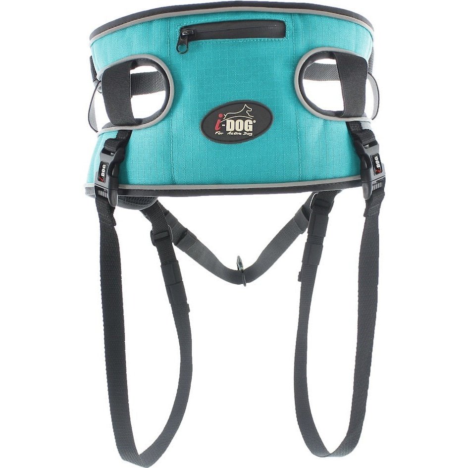 I-Dog Waist Belt Canyon