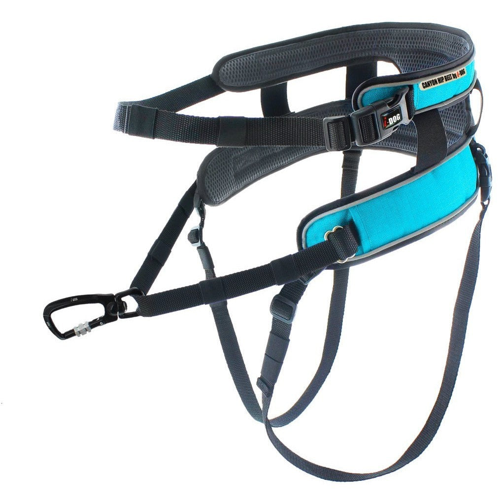 I-Dog Waist Belt Canyon