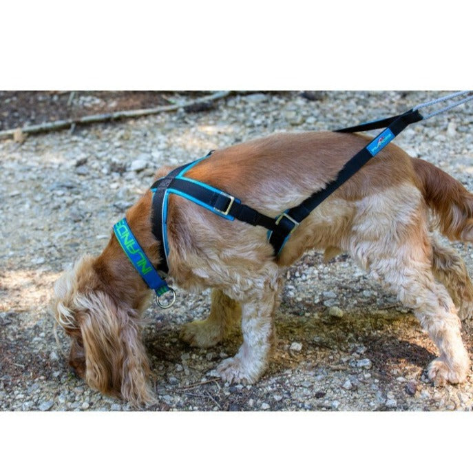 Inlandsis Open-Back Harness
