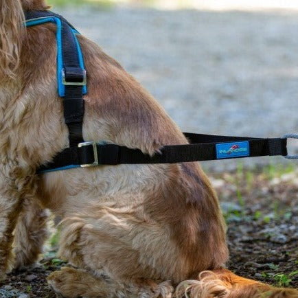 Inlandsis Open-Back Harness