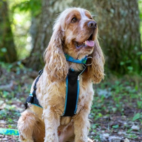 Inlandsis Open-Back Harness