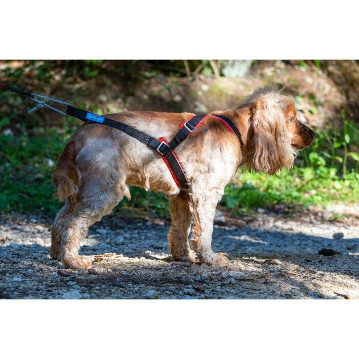 Inlandsis Open-Back Harness