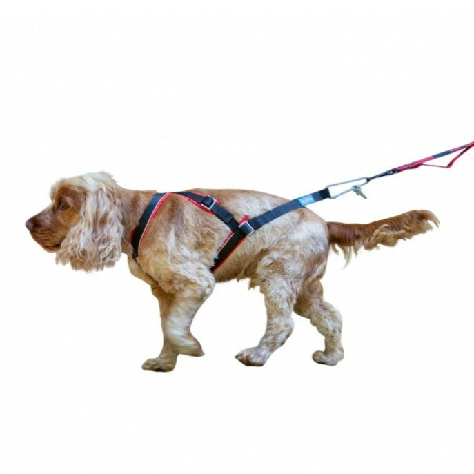 Inlandsis Open-Back Harness