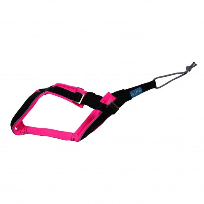 Inlandsis Open-Back Harness