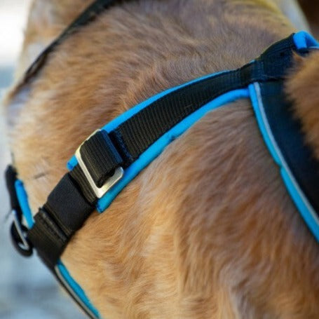 Inlandsis Open-Back Harness