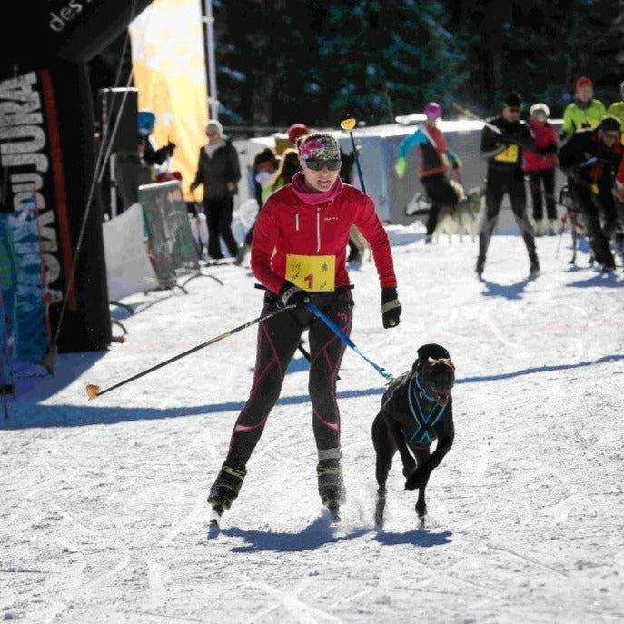 Inlandsis Polar Quest Harness