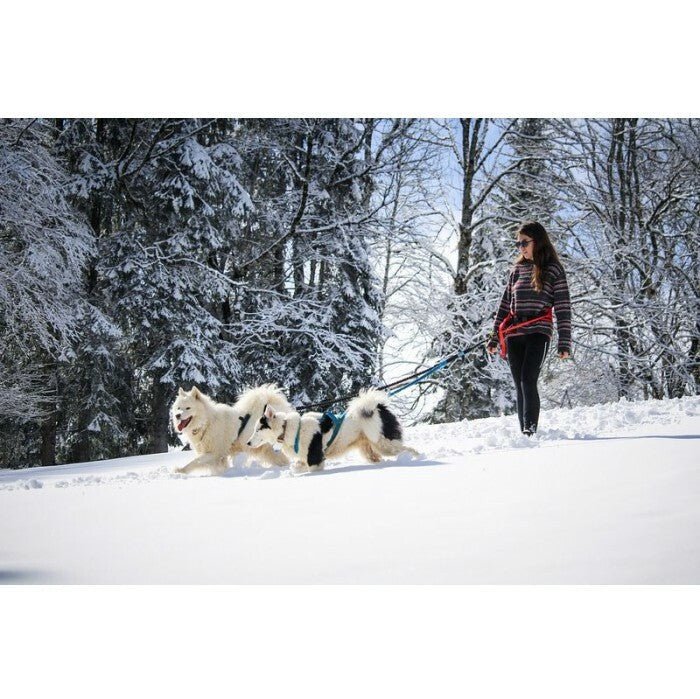 Inlandsis Twincross 2-Dog Canicross Leash