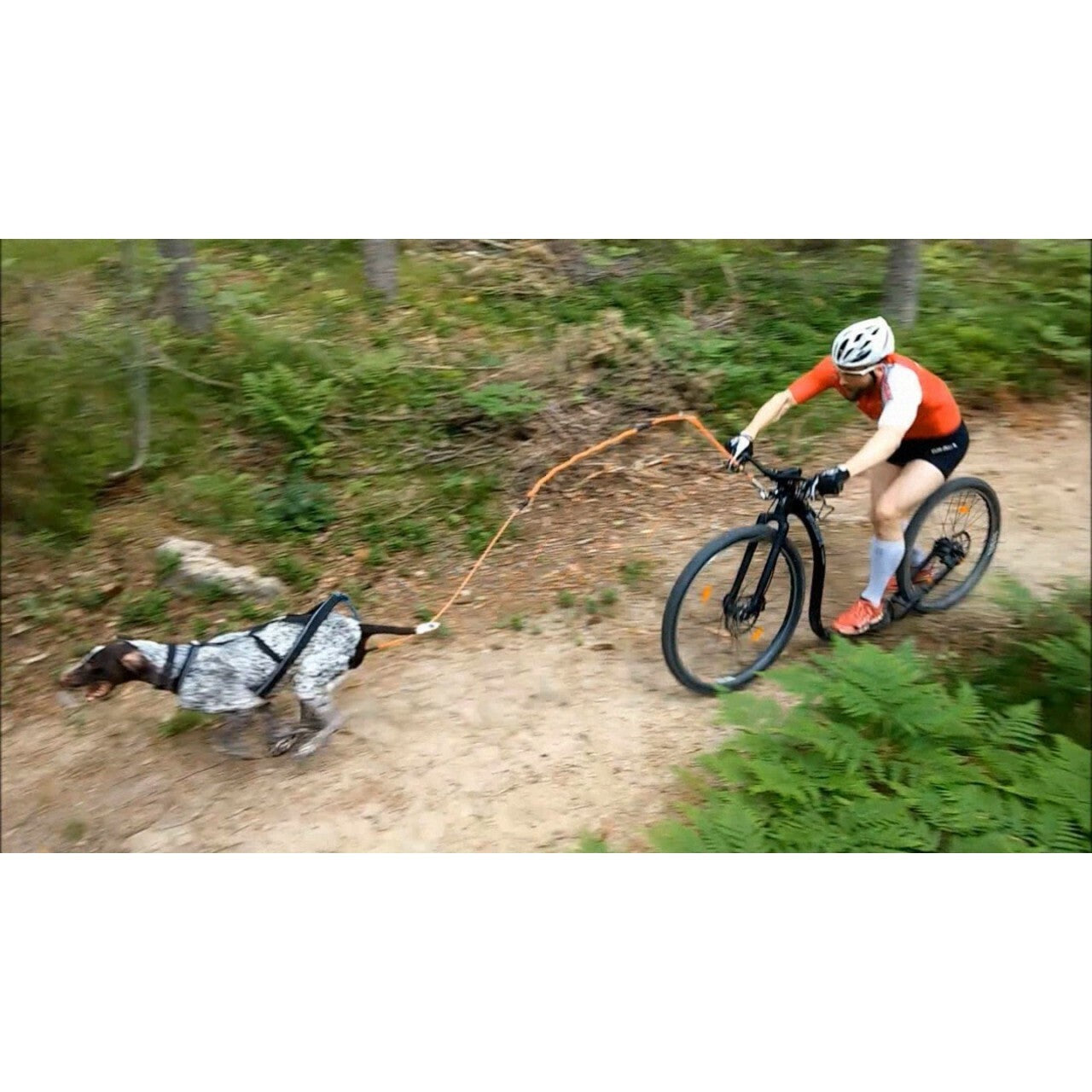 Kainpo Ultra Swing vetoadapteri