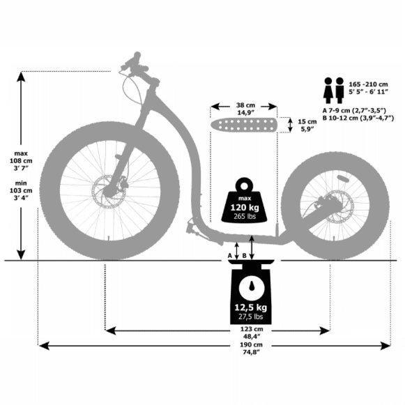 Kickbike Fat MAX