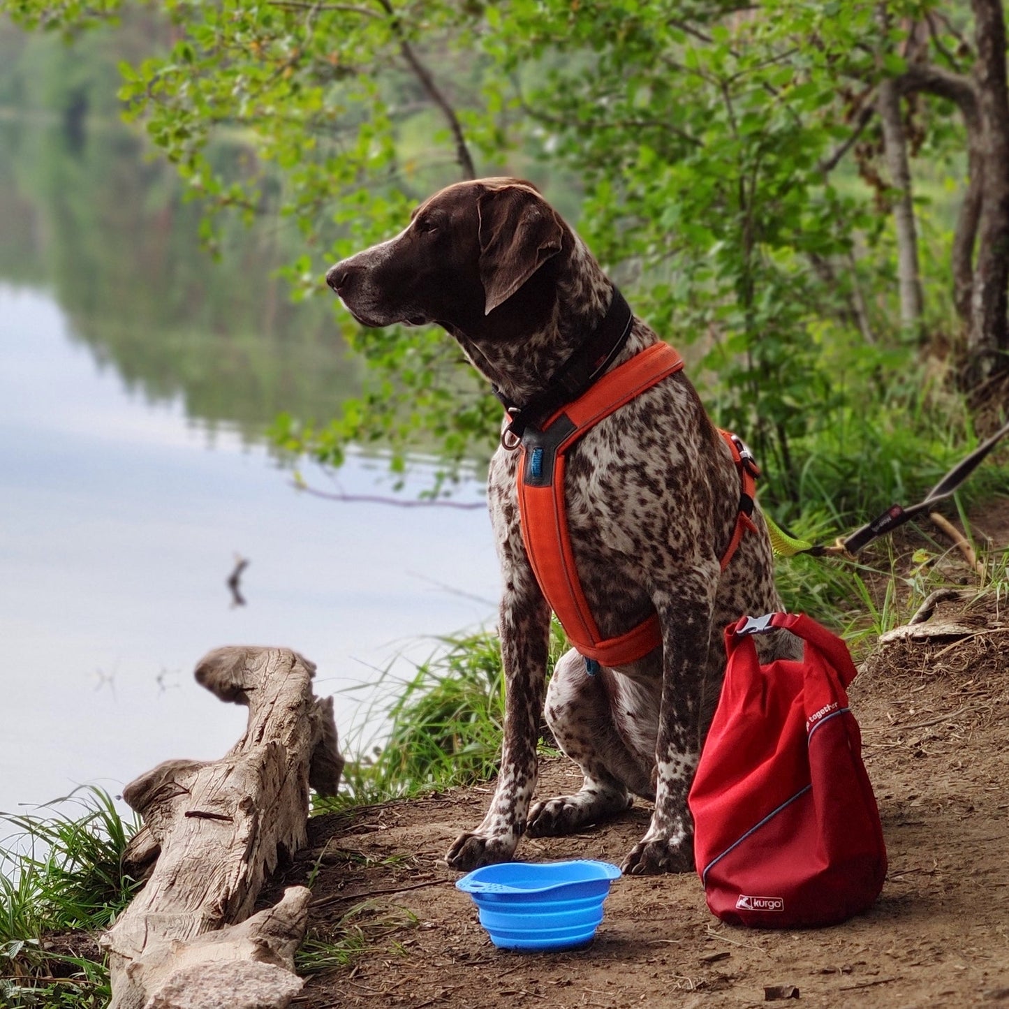 Kurgo Kibble Carrier