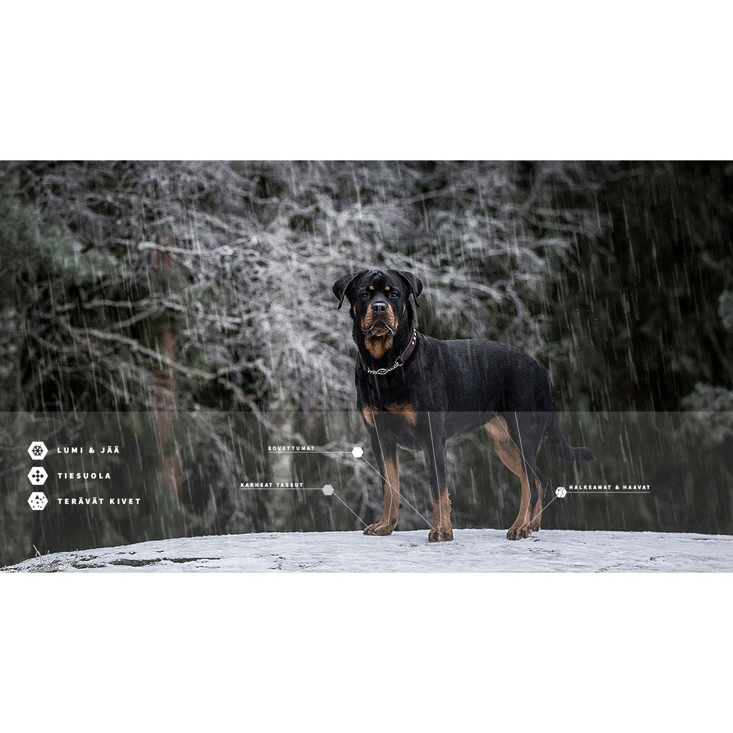 LovePaws Winter Edition Paw wax 40 ml