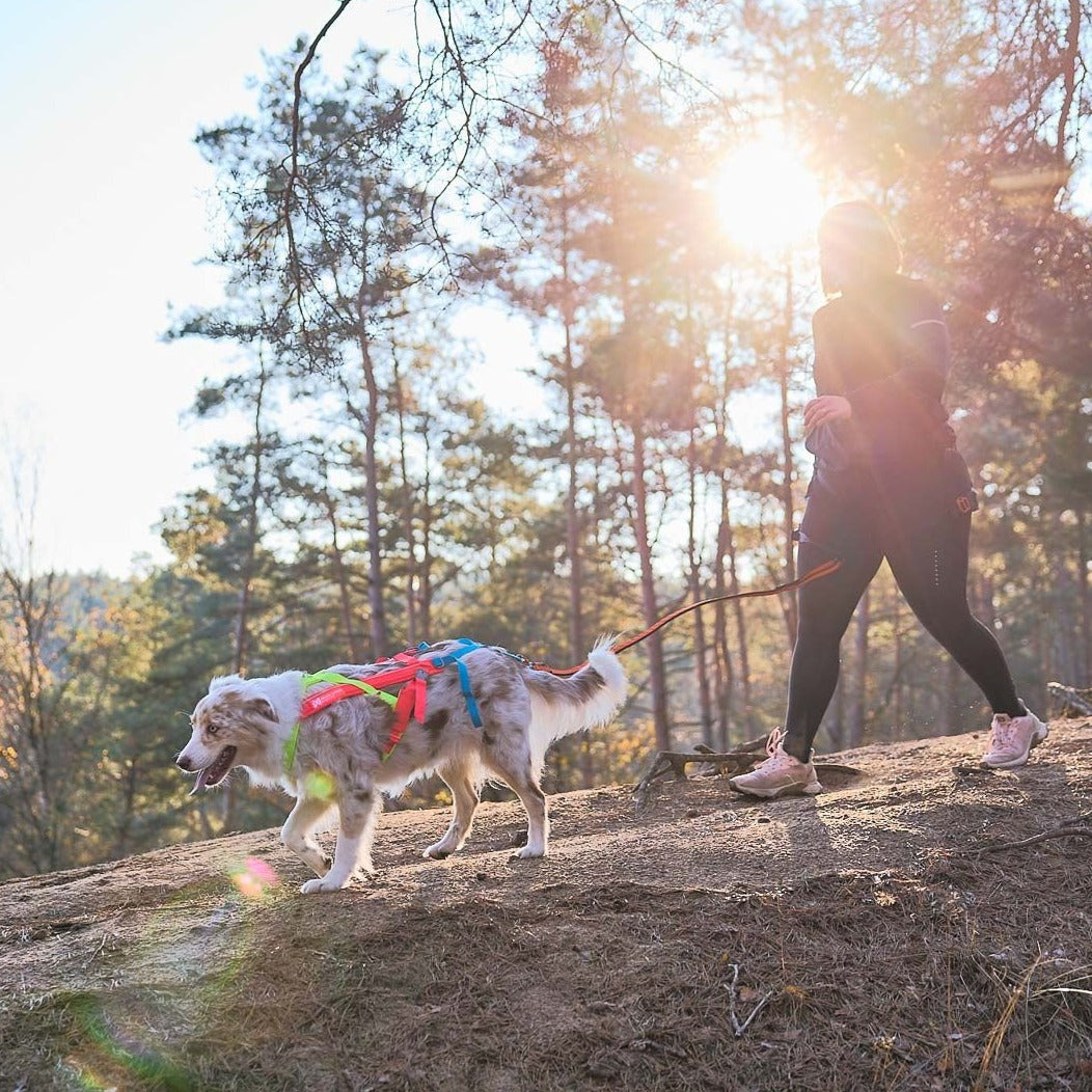 Non-stop dogwear Freemotion Harness Limited