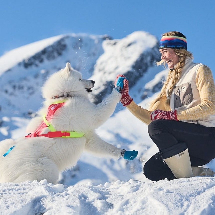 Non-stop dogwear Freemotion Harness Limited