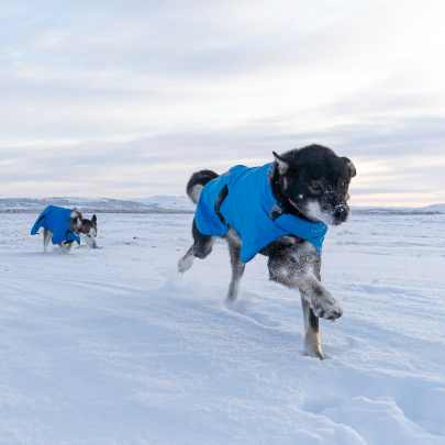Non-stop dogwear Blest Jacket OUTLET