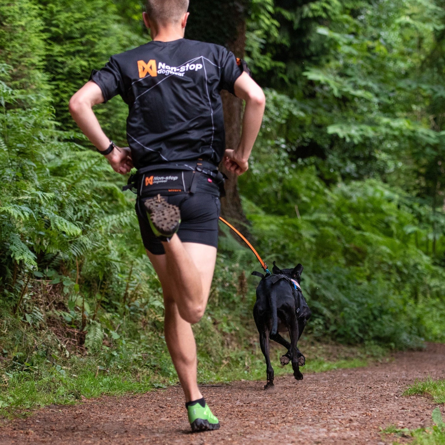 Non-stop dogwear Bungee Leash