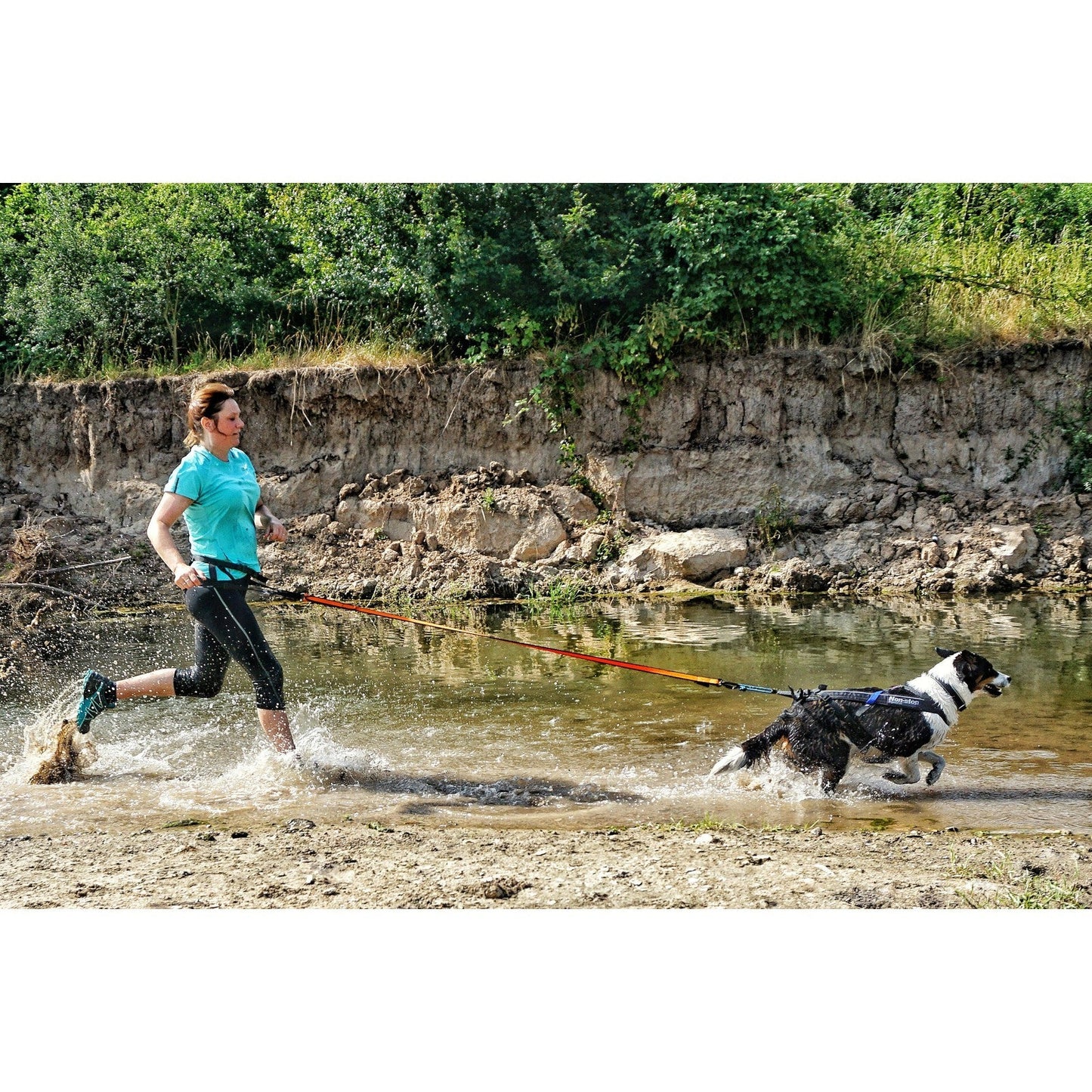 Non-stop dogwear Bungee Leash
