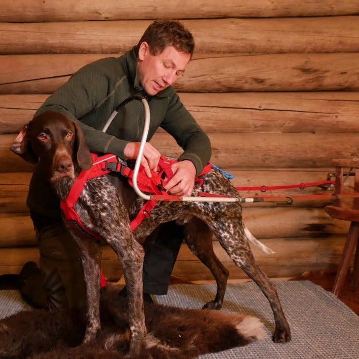 Non-stop dogwear Combined Harness OUTLET