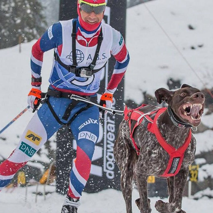 Non-stop dogwear Combined Harness OUTLET