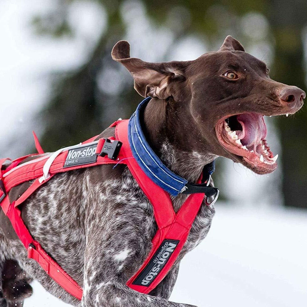 Non-stop dogwear Combined Harness OUTLET