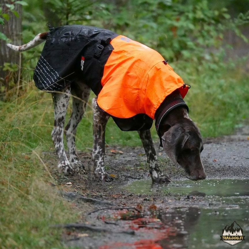 Non-stop dogwear Fjord Raincoat OUTLET