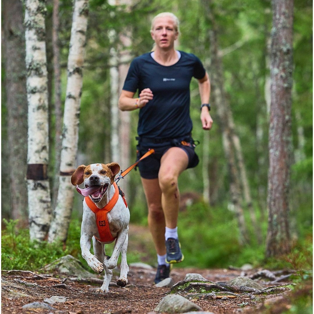 Non-stop dogwear Freemotion Harness 5.0