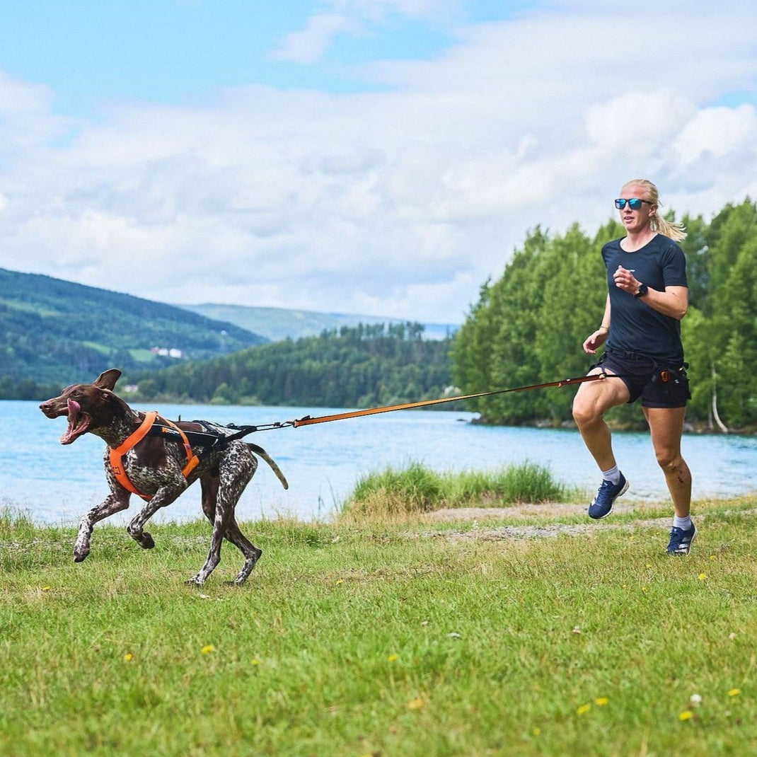 Non-stop dogwear Freemotion Harness 5.0