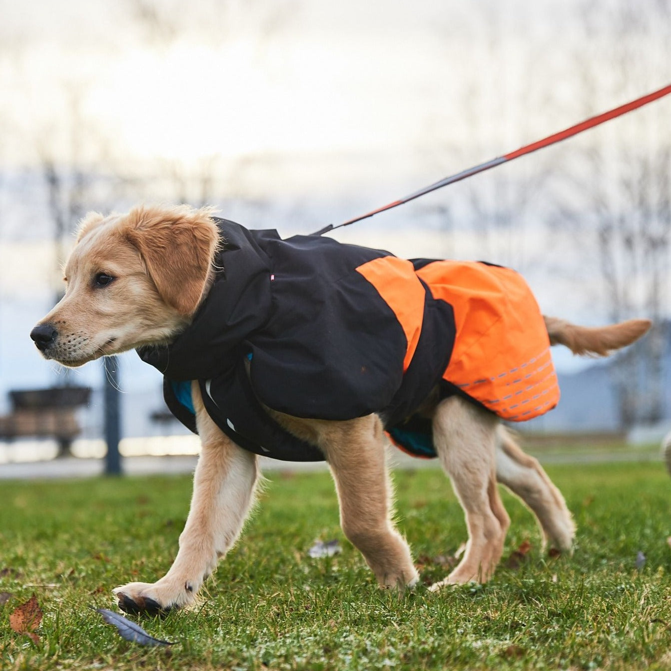Non-stop dogwear Glacier Jacket 2.0 OUTLET