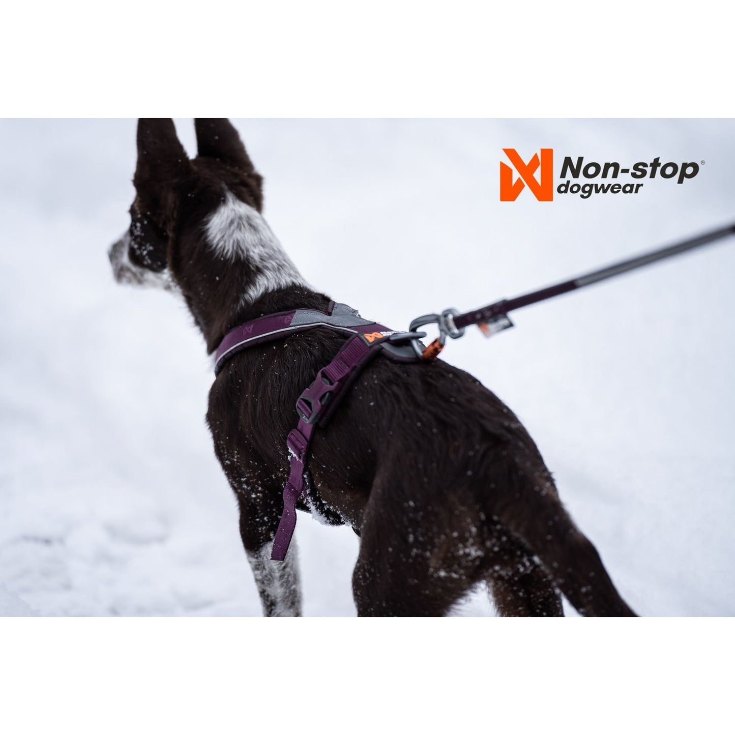 Non-stop dogwear Line Harness 5.0