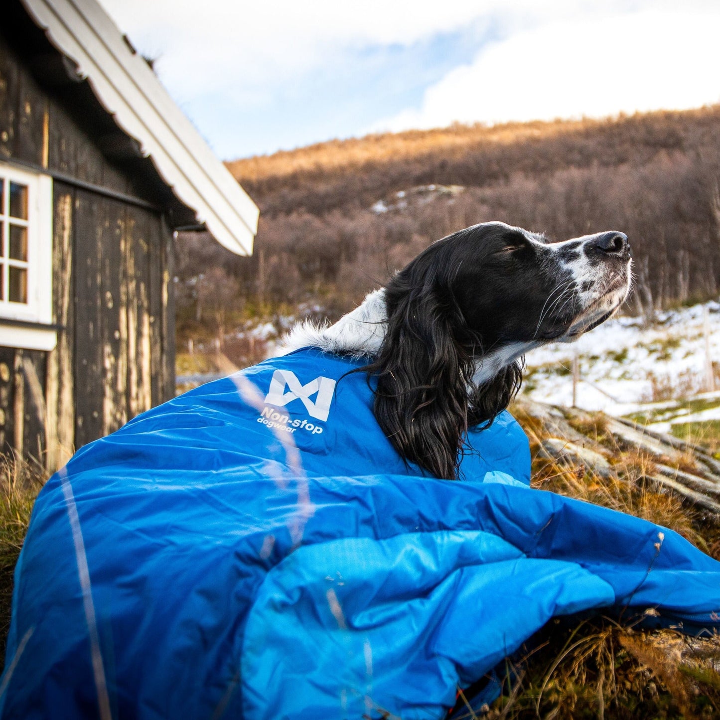 Non-stop dogwear Ly Sleeping Bag OUTLET