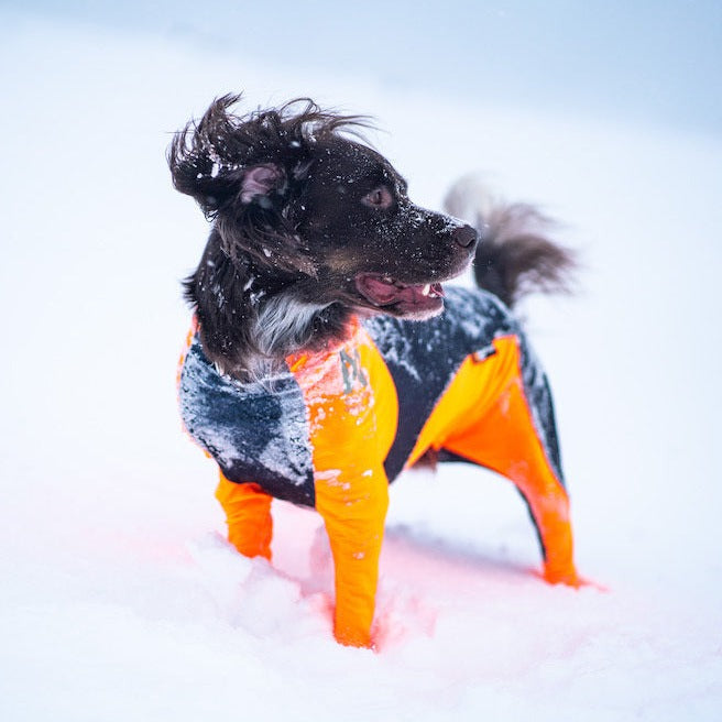 Non-stop dogwear Protector Snow OUTLET