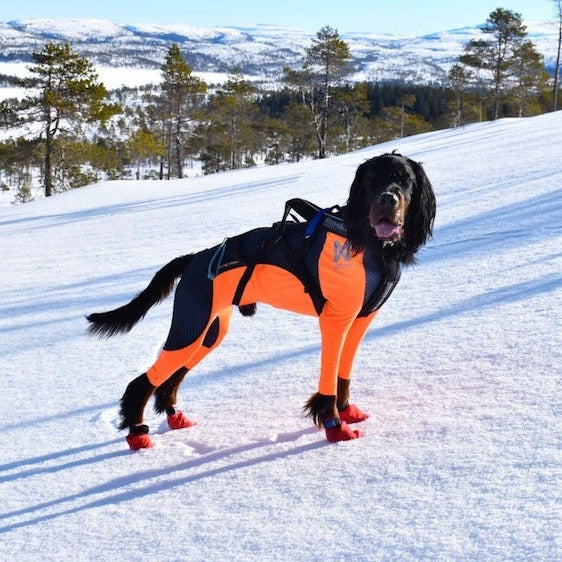 Non-stop dogwear Protector Snow OUTLET
