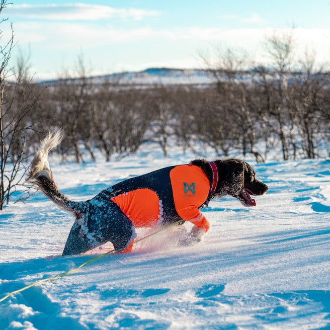 Non-stop dogwear Protector Snow OUTLET
