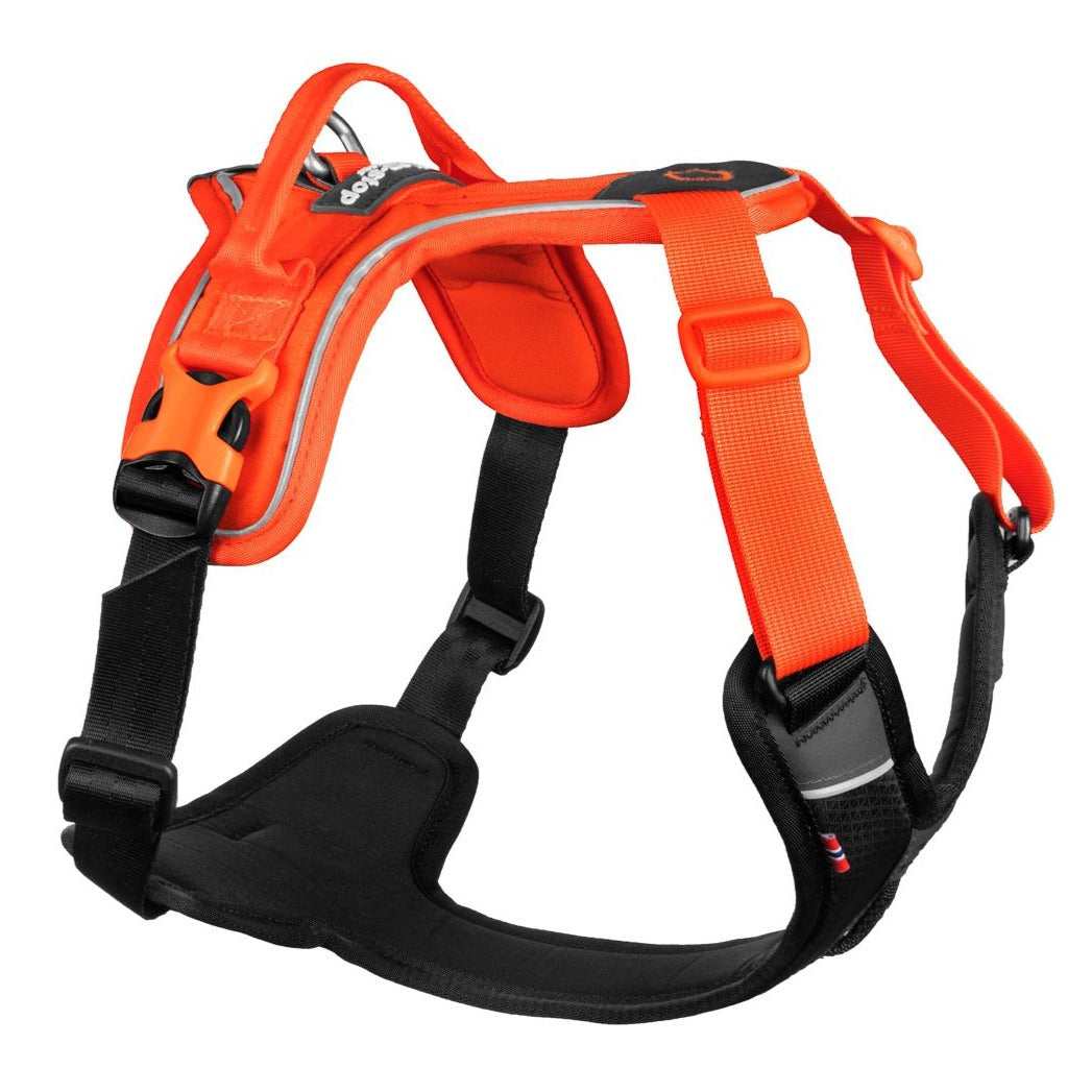 Non-stop dogwear Ramble Harness