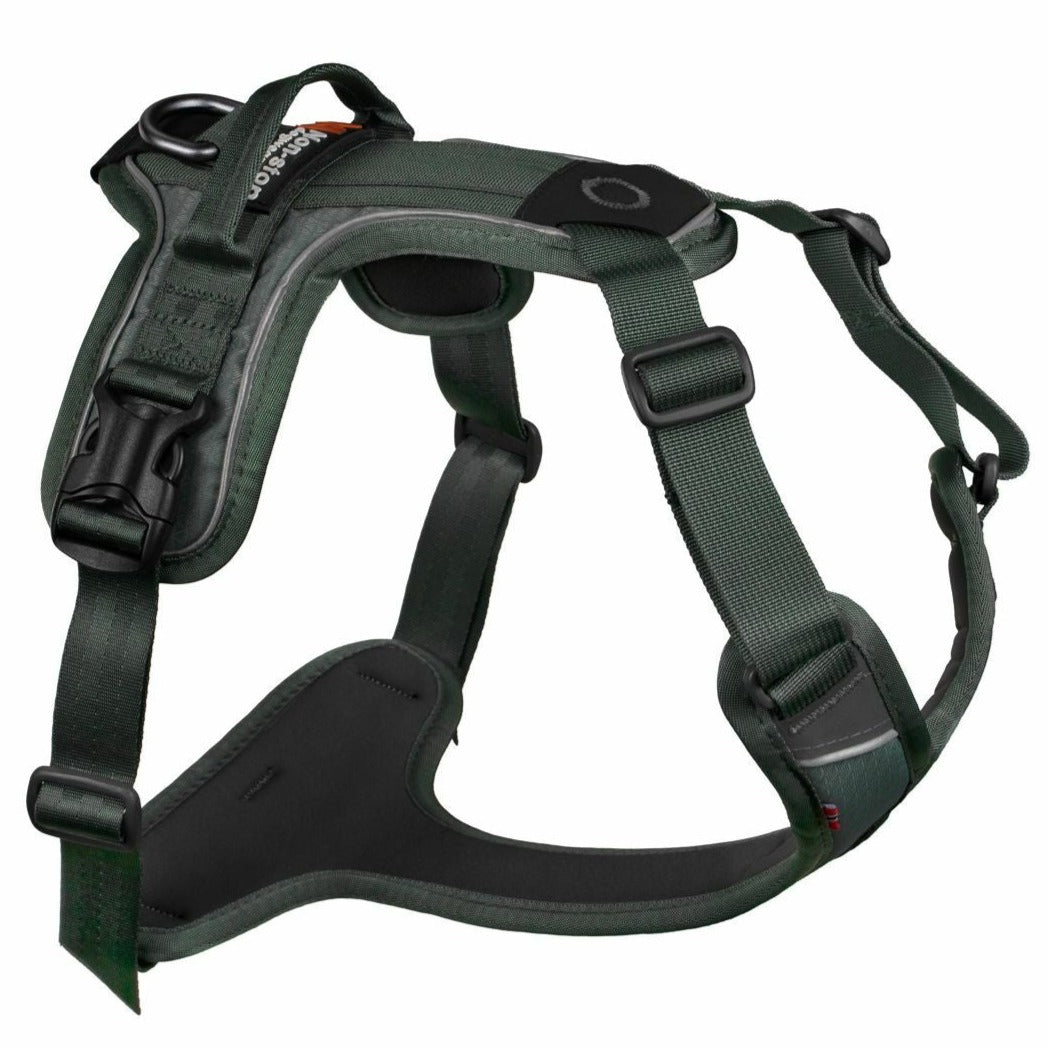 Non-stop dogwear Ramble Harness
