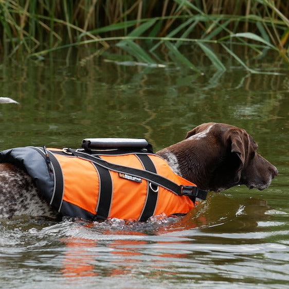 Non-stop dogwear Safe Life Jacket 2.0