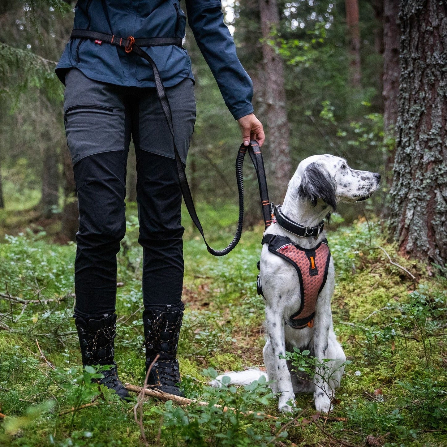 Non-stop dogwear Touring Bungee Adjustable