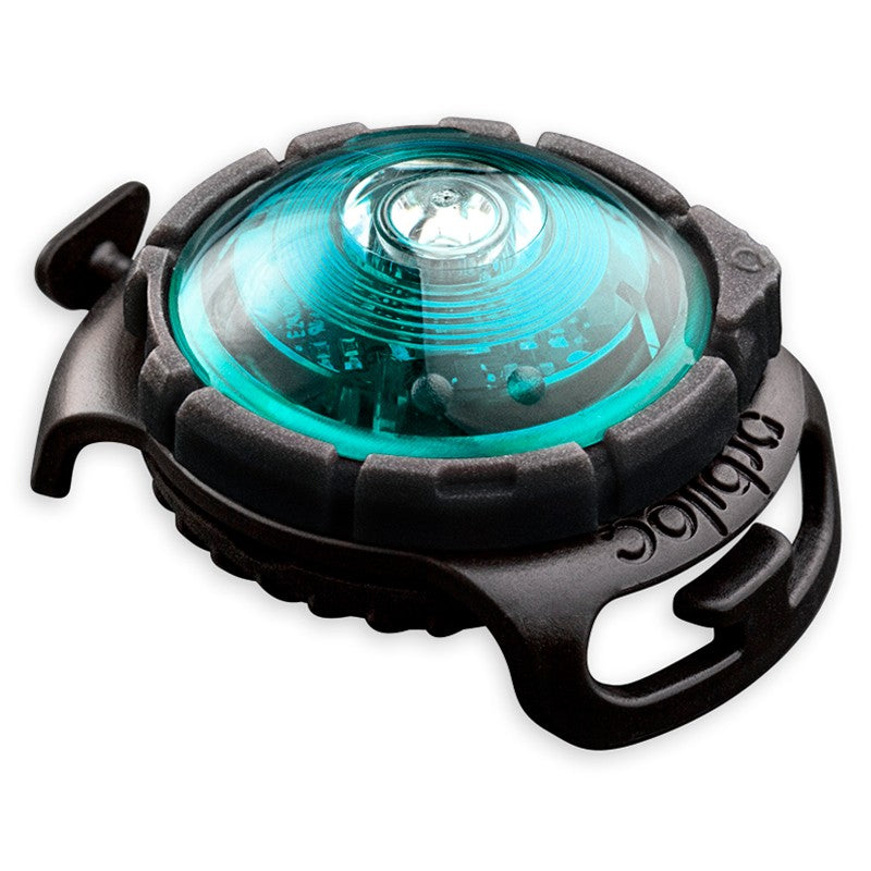 Orbiloc Dog Dual huomiovalo