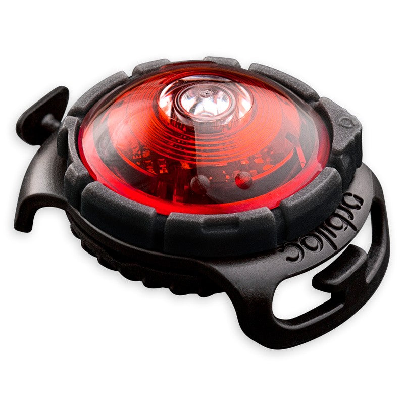 Orbiloc Dog Dual huomiovalo