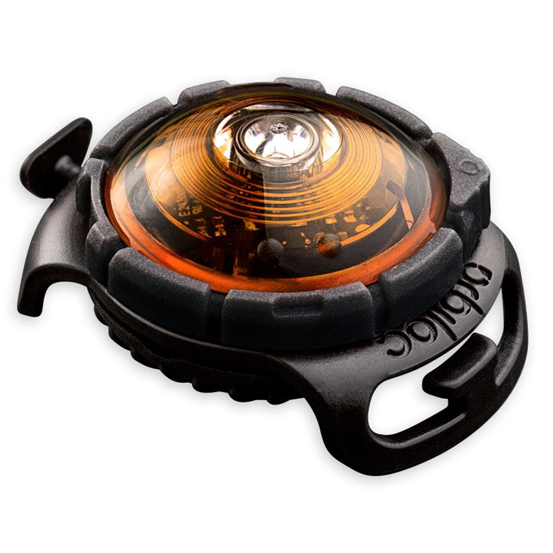 Orbiloc Dog Dual huomiovalo