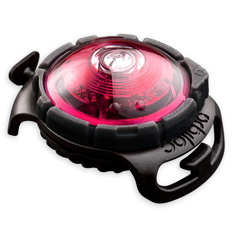 Orbiloc Dog Dual huomiovalo