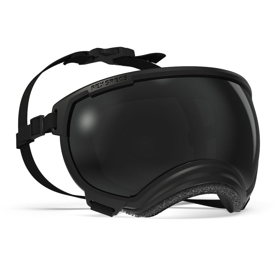 Rex Specs V2 Goggle