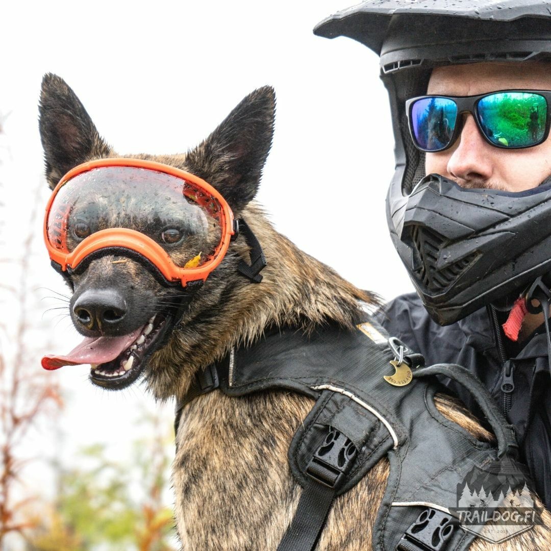Rex Specs V2 Goggle