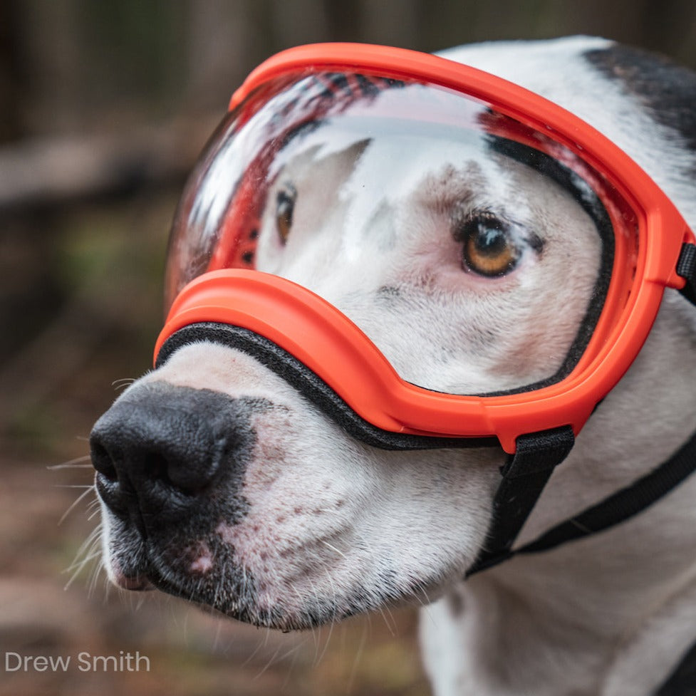 Rex Specs V2 Goggle