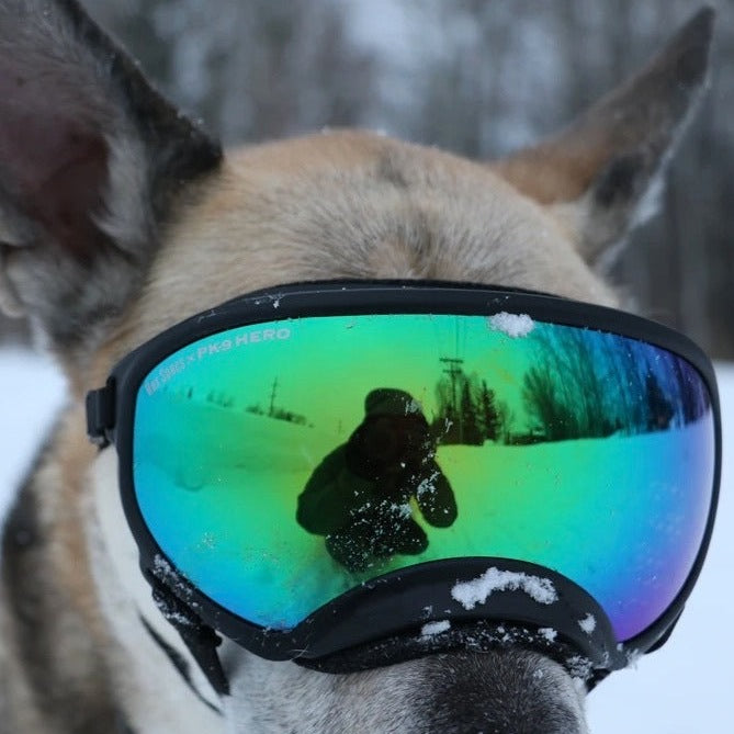 Rex Specs V2 Lenses