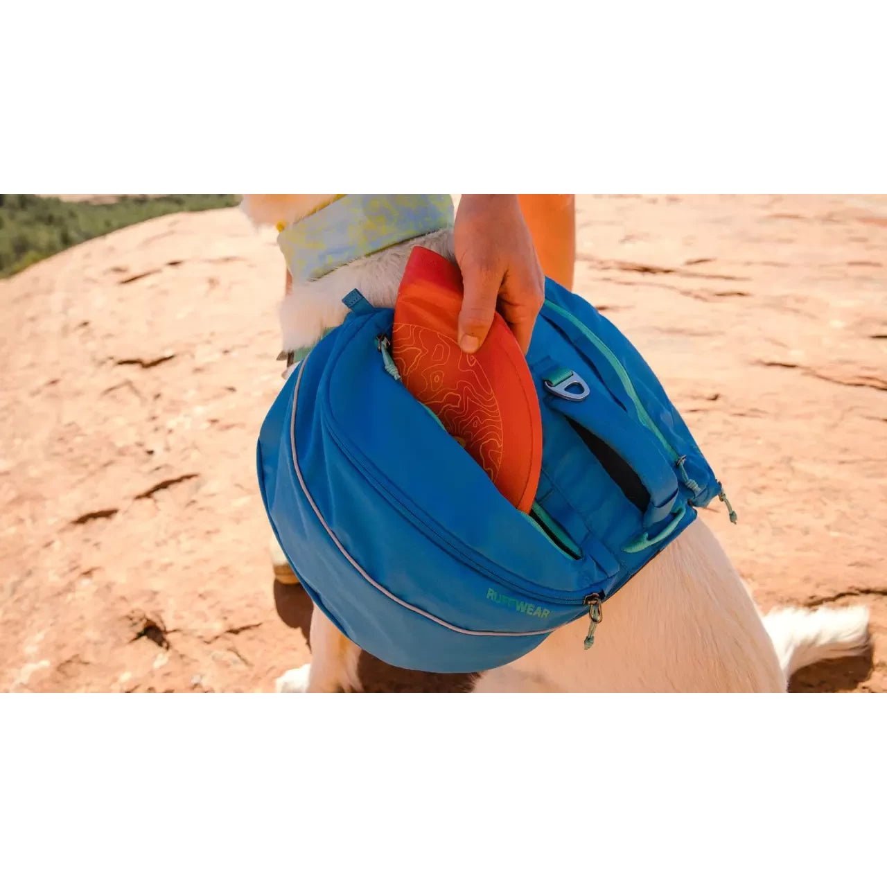 Ruffwear Approach Dog Backpack